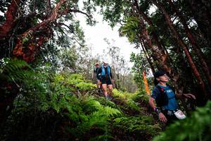 BIB: 
                            <button type="button" onclick="openModal(26201523)" class="btn btn-primary btn-sm float-right btn-popup" data-toggle="modal" data-target=".modal-high-quality">
                        <i class="fas fa-shopping-cart"></i> Add to Cart
                    </button>
                                            <button type="button" onclick="isThisMe(26201523, true)" class="btn btn-success btn-sm float-right btn-popup btn-isme hidden" data-toggle="tooltip" data-placement="bottom" title="นี่คือรูปของคุณใช่ไหม คลิกที่นี่เพื่อเอาเข้าอัลบั้ม">
                        <i class="fas fa-plus"></i> Add to album
                    </button>
                    <button type="button" onclick="isThisMe(26201523, false)" class="btn btn-warning btn-sm float-right btn-popup btn-isnotme hidden">
                        <i class="fas fa-ban"></i> Remove from album
                    </button>